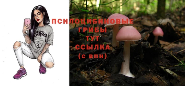 ГАЛЛЮЦИНОГЕННЫЕ ГРИБЫ Семёнов