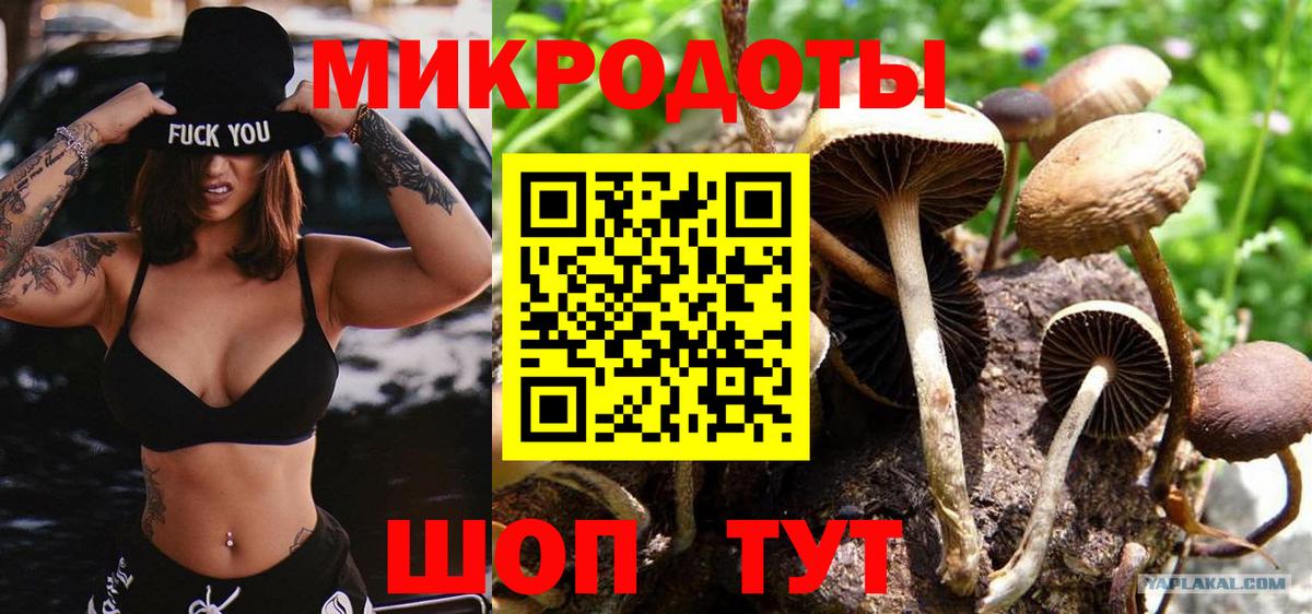 Псилоцибиновые грибы мухоморы Белово